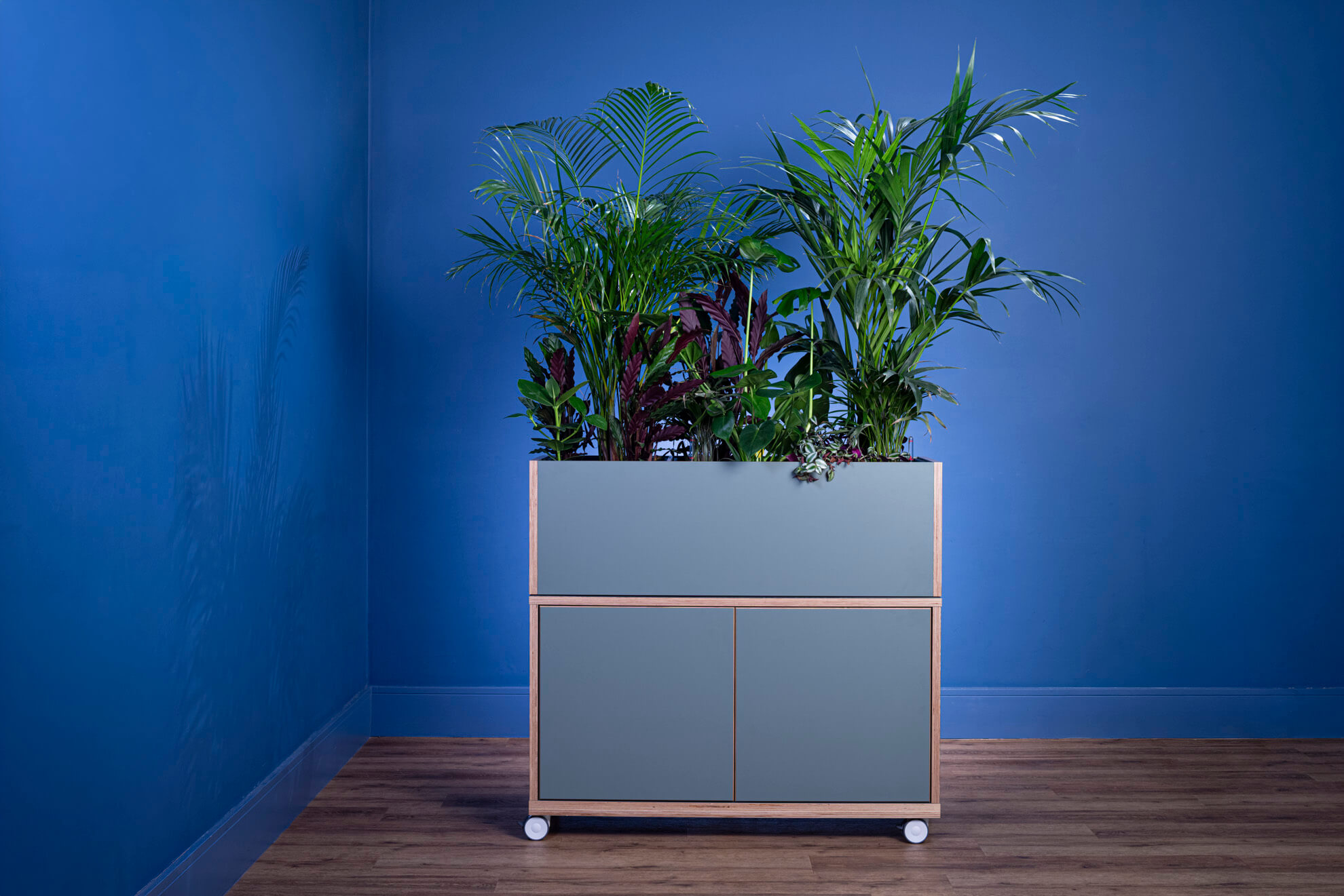 Mobile acoustic cupboard with planter bed at the top